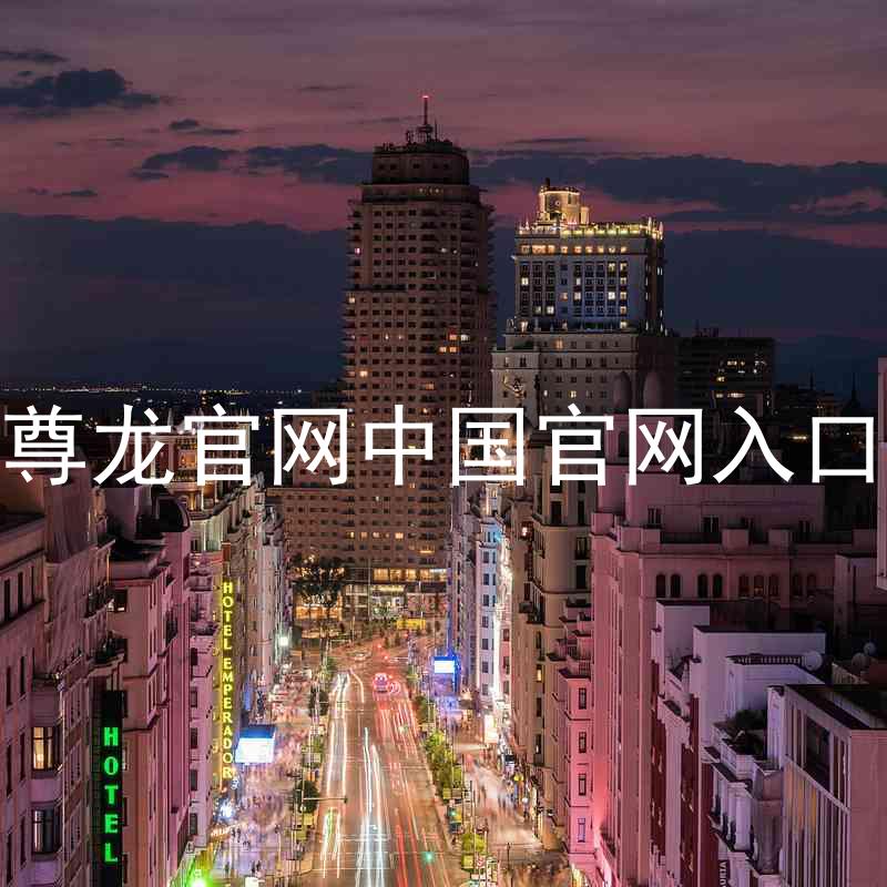 尊龙官网中国官网入口